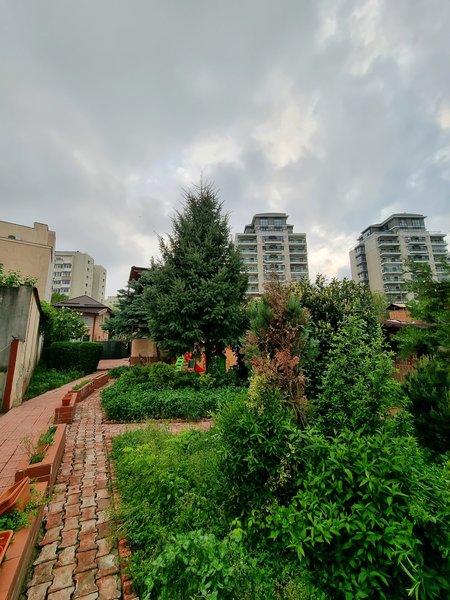 Floreasca, Tei,