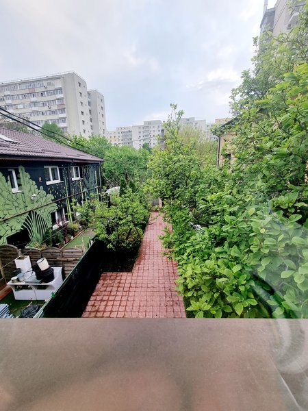 Floreasca, Tei,